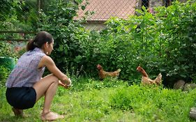 Les Chambres D'Hotes De Laurette